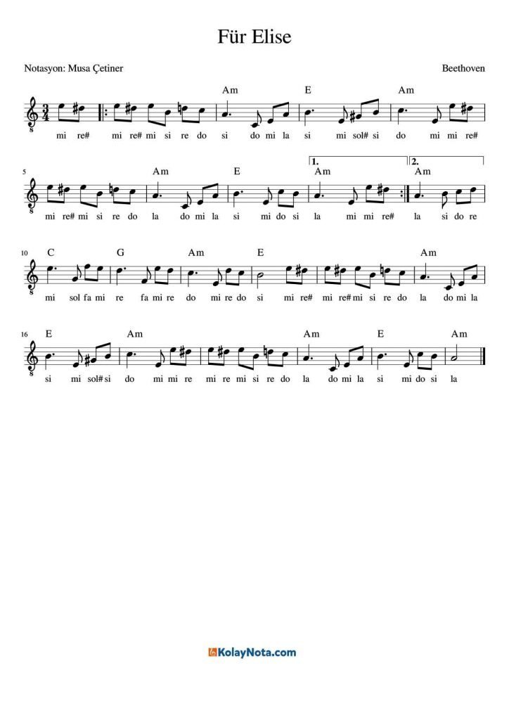 Für Elise Kolay Nota