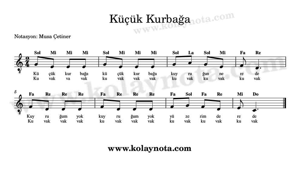 Küçük Kurbağa Kolay Notası
