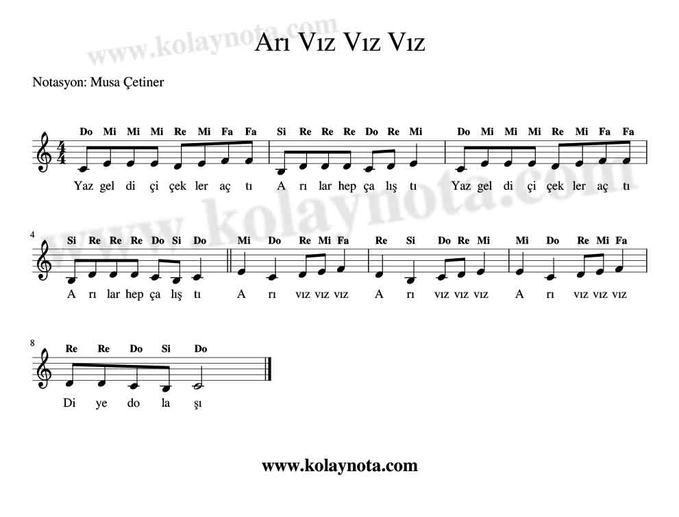 Arı Vız Vız Vız Kolay Notası