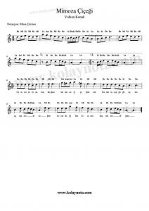 Mimoza Çiçeğim Kolay Notası