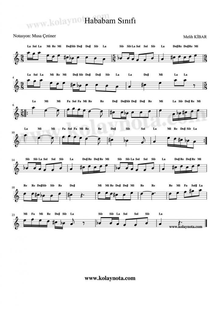 Hababam Sınıfı Kolay Notası