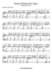 Hastane Önünde İncir Ağacı - Kolay Piyano Notası