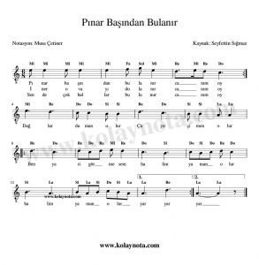 Pınar Başında Bulanır - Kolay Bağlama Notası