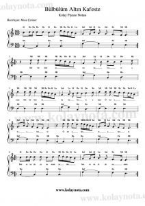 Bülbülüm Altın Kafeste - Kolay Piyano Notası