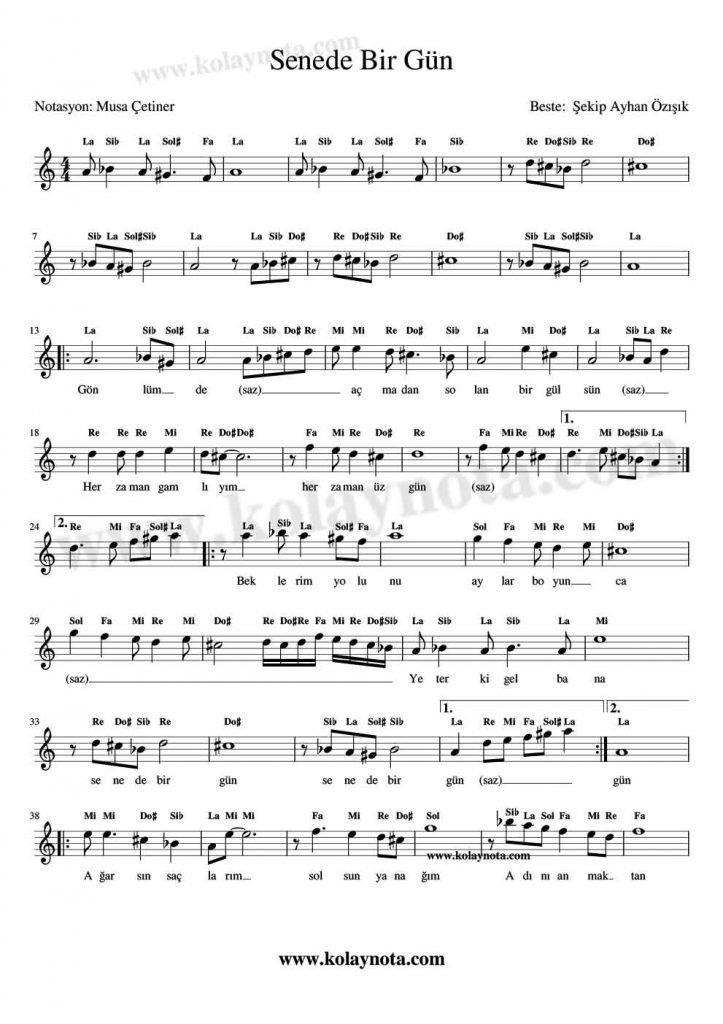 Senede Bir Gün Kolay Notası