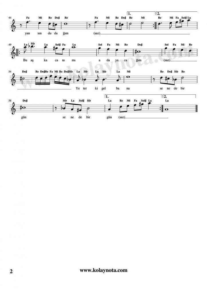 Senede Bir Gün Kolay Notası - 2