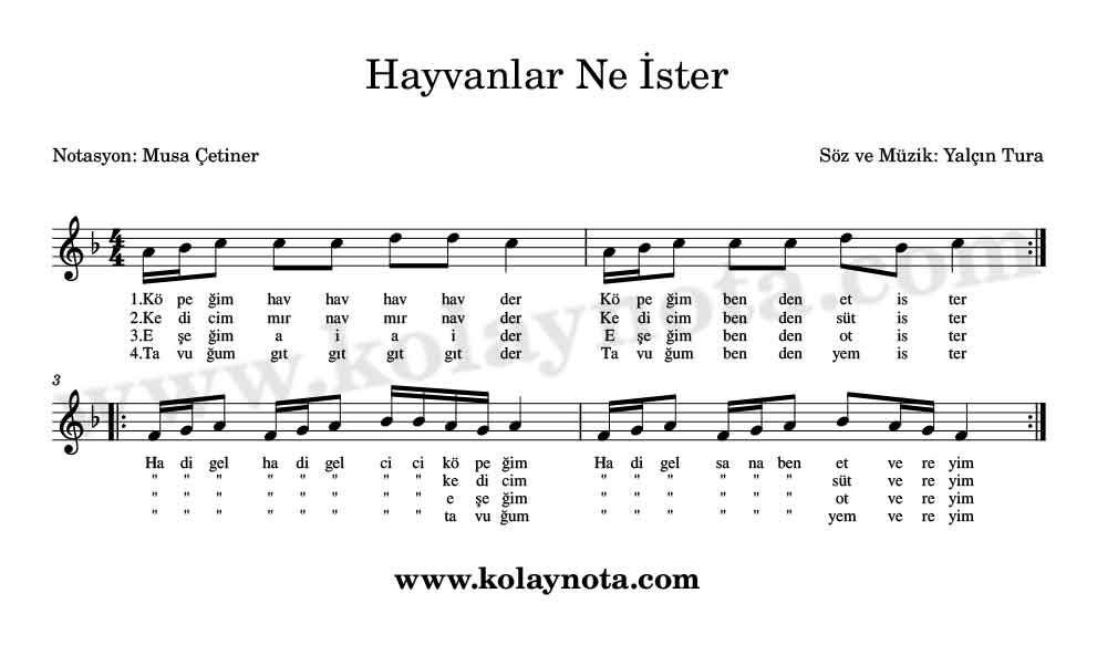 Hayvanlar Ne İster Kolay Notası