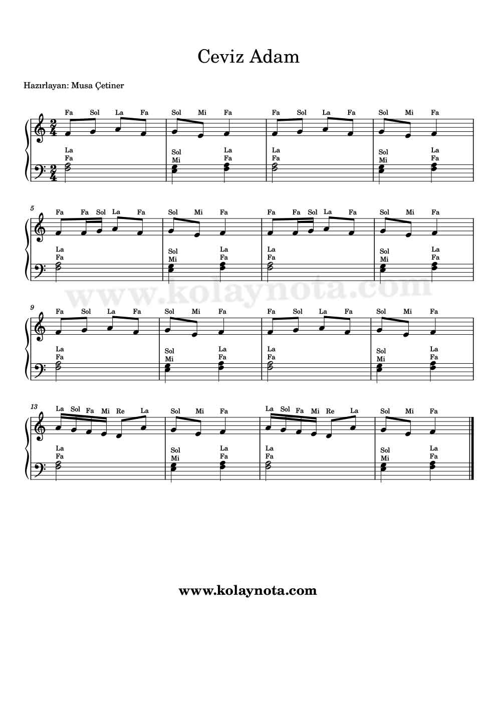 Ceviz Adam - Kolay Piyano Notası