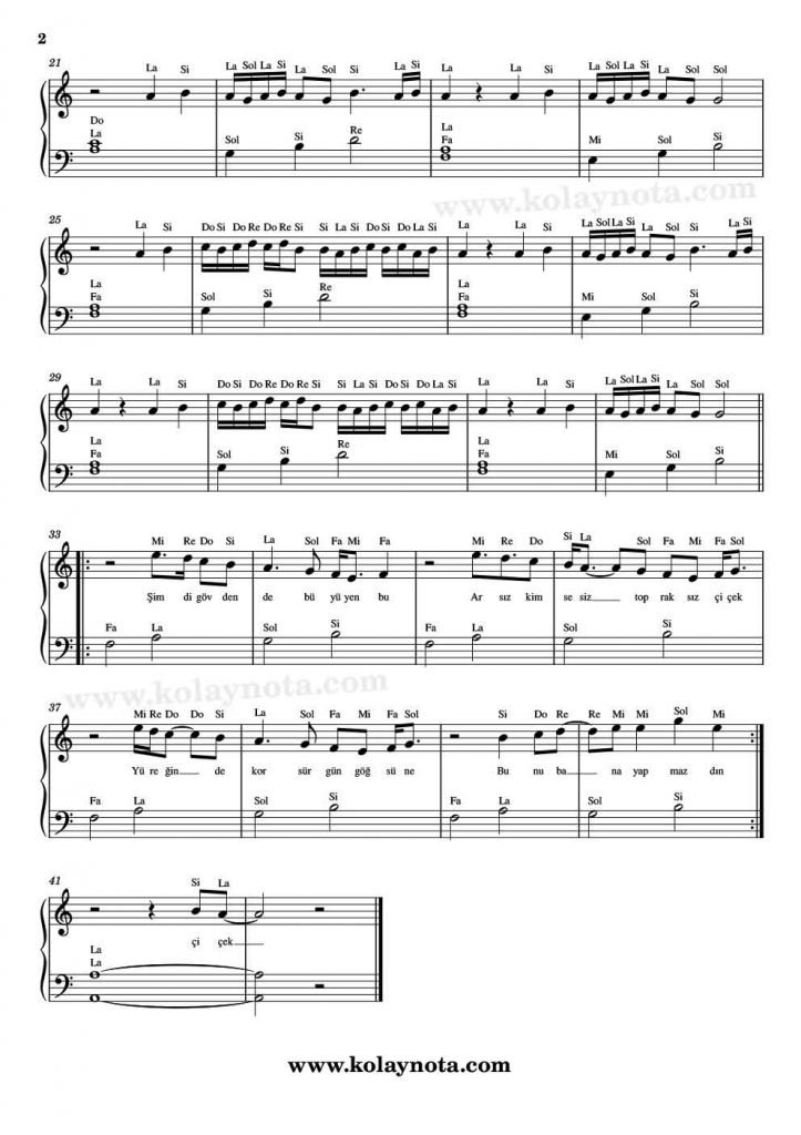 Bir Beyaz Orkide Piyano Notası - 2