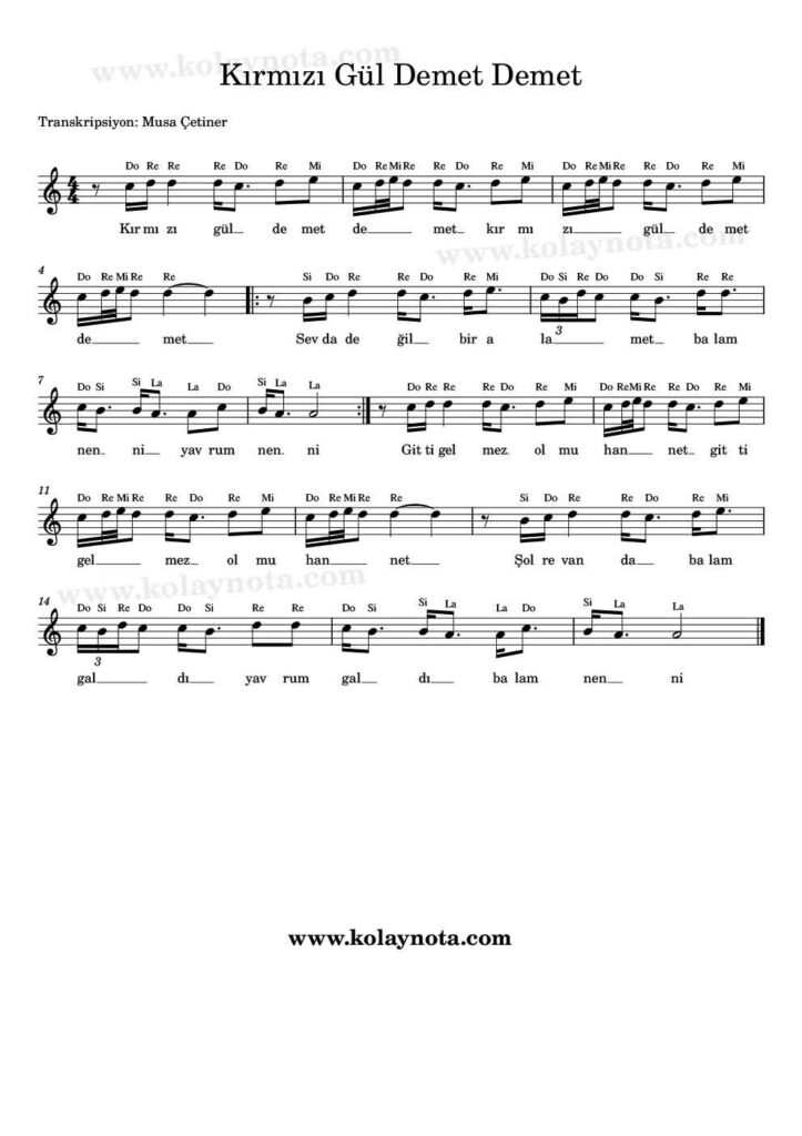 Kırmızı Gül Demet Demet Nota