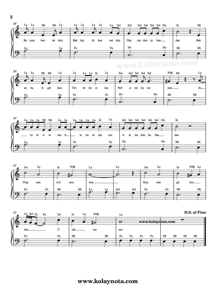 Mor Yazma Piyano Nota - 2