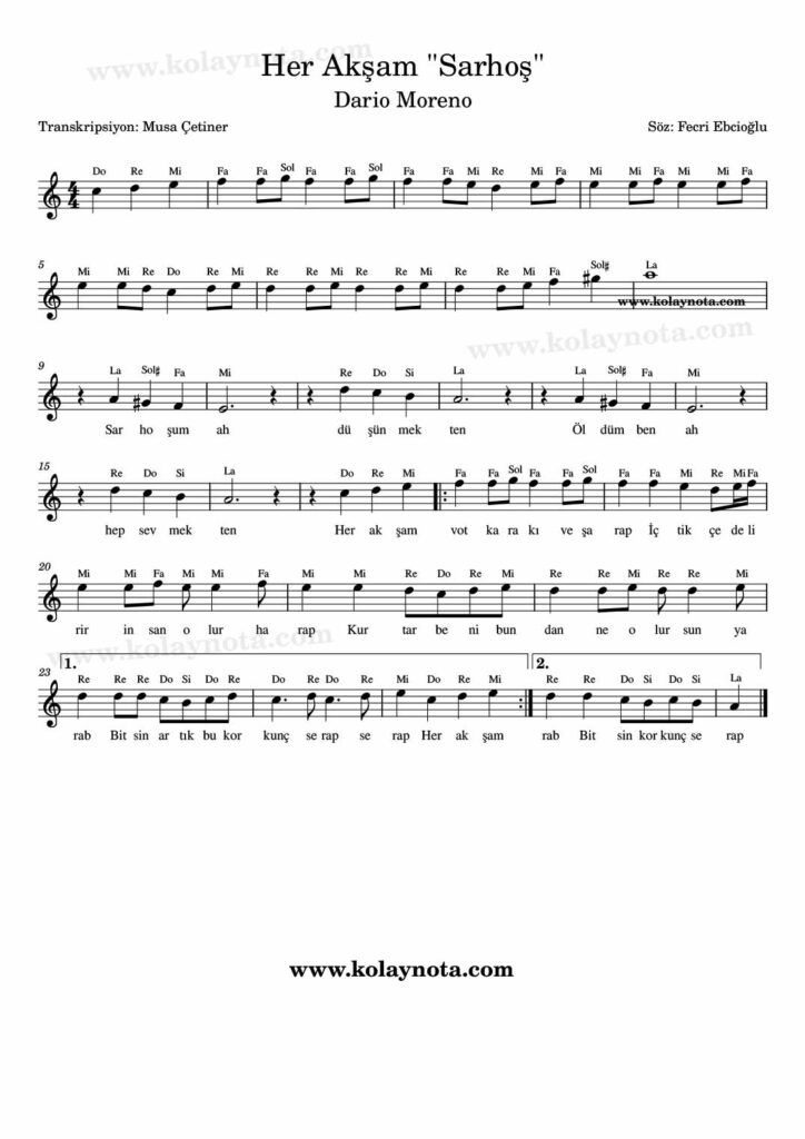 Her Akşam Votka Rakı ve Şarap - Nota