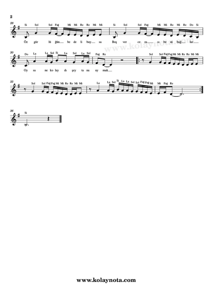 Acıtır Gibi Severek - Nota - 2