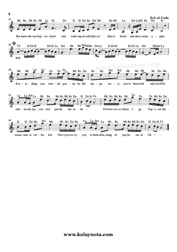 Lily - Nota - 2