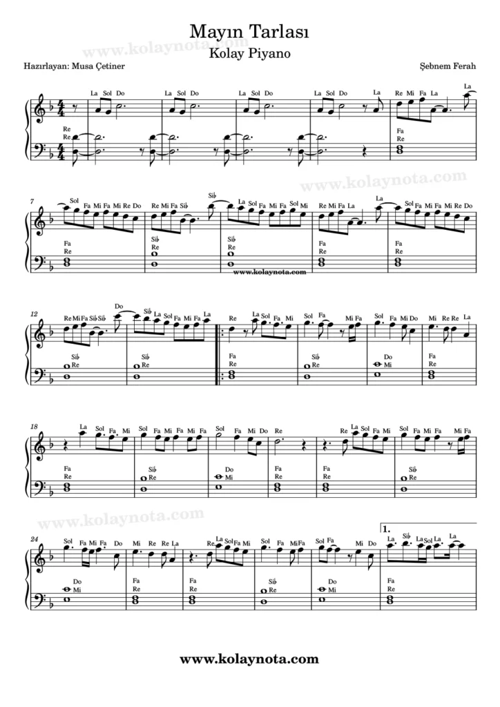 Mayın Tarlası şarkısının piyano düzenlemesi