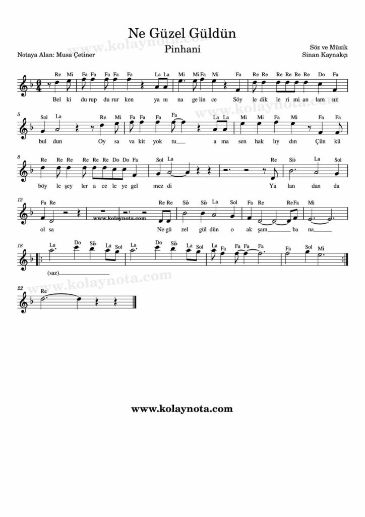 Ne Güzel Güldün şarkısının kolay notasyonu