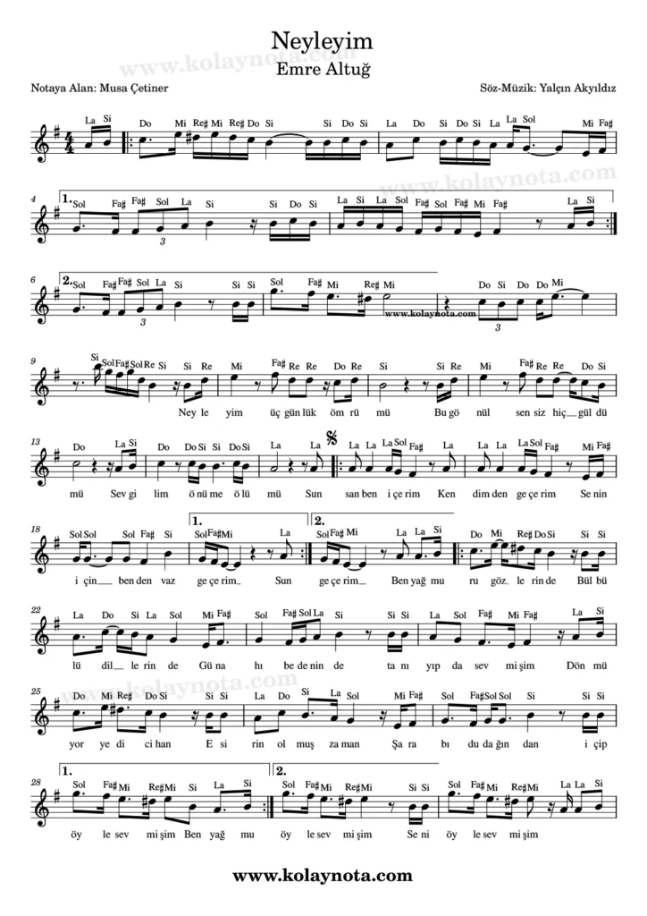 Neyleyim şarkısının kolay notasyonu