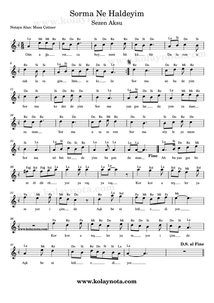 Sorma Ne Haldeyim şarkısının kolay notasyonu