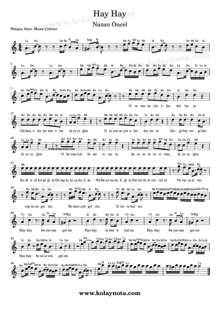 Hay Hay şarkısının kolay notasyonu