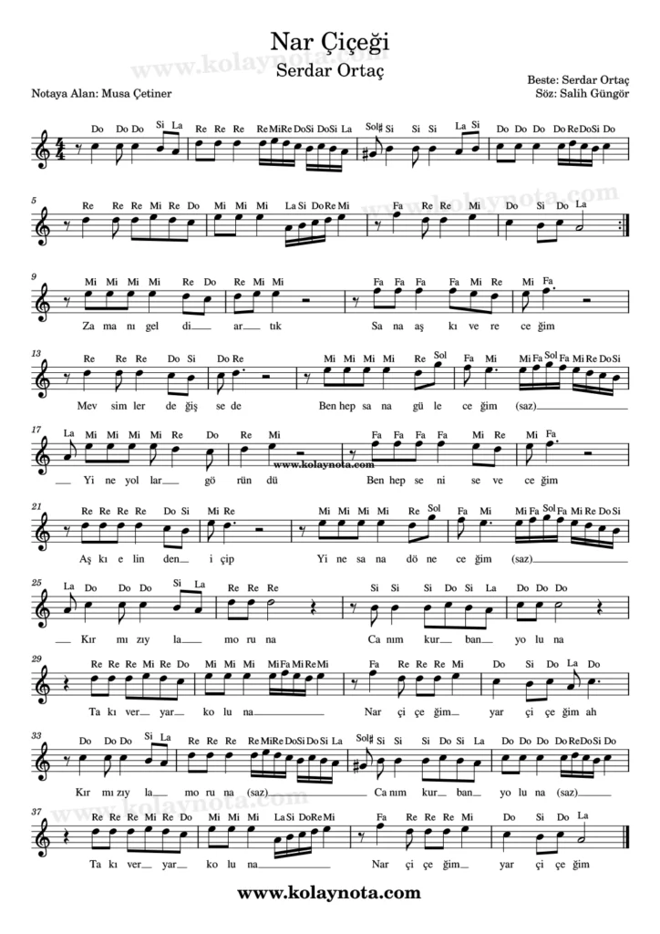Nar Çiçeğim şarkısının kolay notasyonu