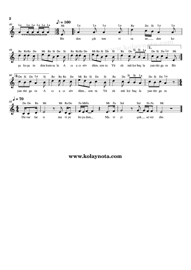 Mavi Duvar - Nota - 2