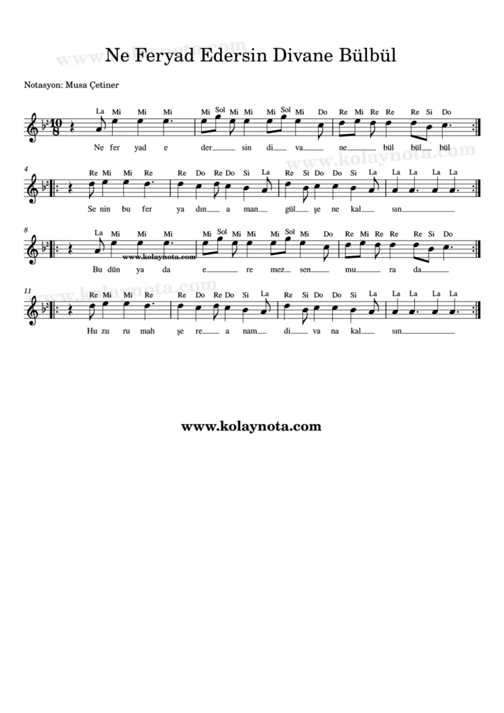 Ne Feryad Edersin Divane Bülbül türküsünün kolay notasyonu